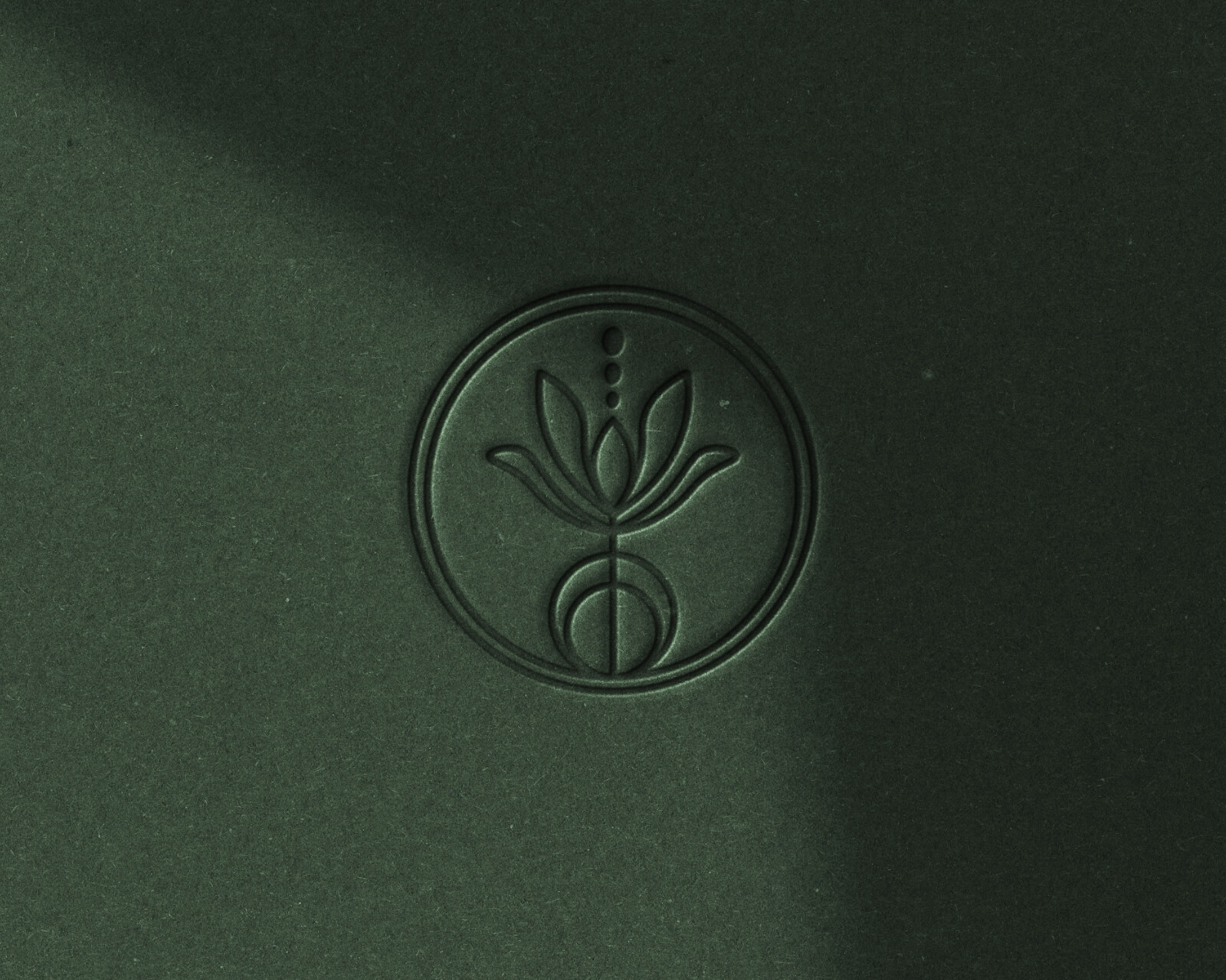 earthy logo design for dietitian